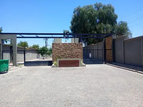 TERRENO - OLIVOS DE RUSSEL