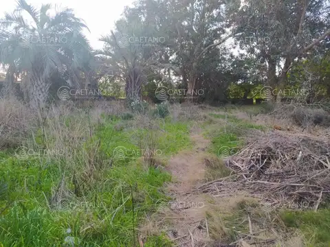 Terreno en Venta de 520,0 m2