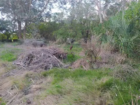 TERRENO EN EL CHORRO