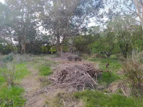 TERRENO EN EL CHORRO