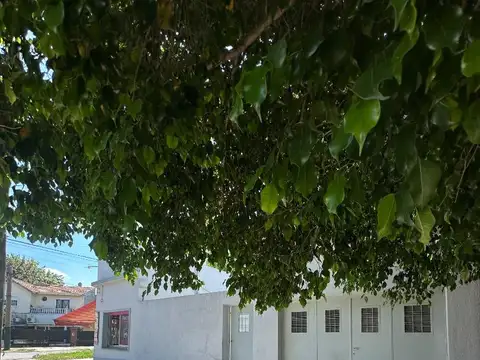 Casa en esquina con local, 3 dorm, patio y terraza - LdZ