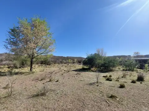 Estancia Grande 100