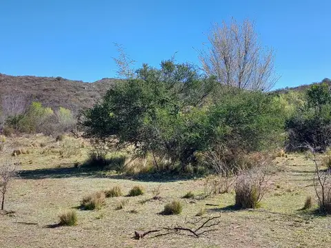 Terreno en Venta de 2000,0 m2