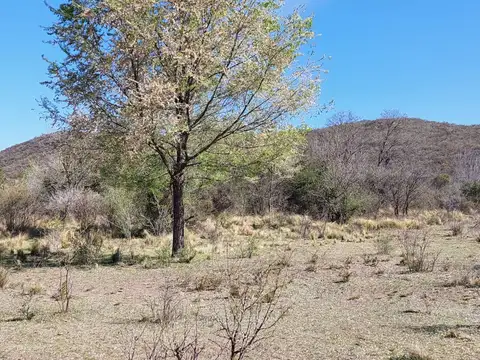 Terreno en Venta en Estancia Grande, USD 18.000