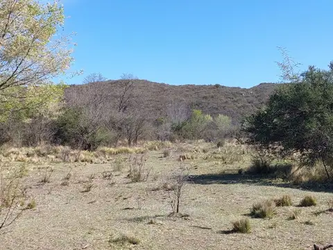 Venta urgente terreno de 2.000 m²  estancia grande