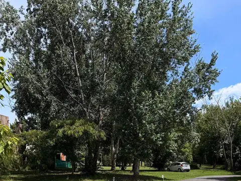 TERRENO EN VENTA, BARRIO LOS PARAISOS, LOS CARDALES