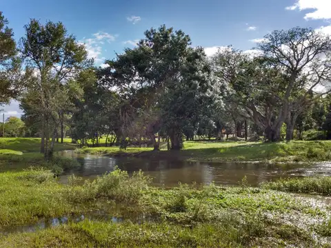 Terreno en Corrientes