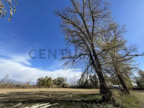 Terreno en Venta de 5000,0 m2