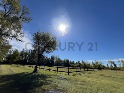 Terreno en Venta de 5000,0 m2