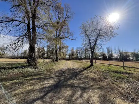 Miguel Silva , Piso 0