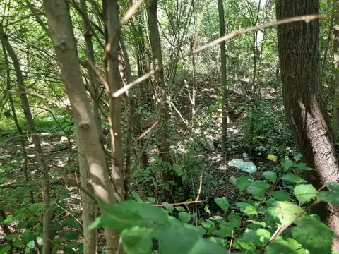 Terreno en Venta de 3368,0 m2