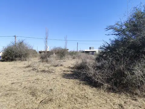 LOS ESPINILLOS, POTRERO DE GARAY