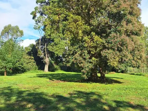 VENTA LOTE en B° SAN MATIAS AREA 3 (NE)