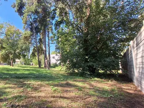 Terreno en Venta de 980,0 m2