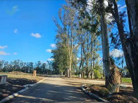 Terreno en Venta en Pilar Del Este, USD 50.000
