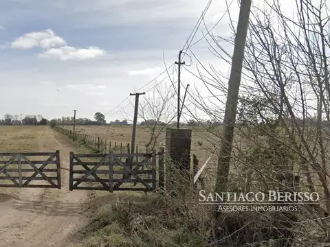 22 ha. Exaltación de la Cruz