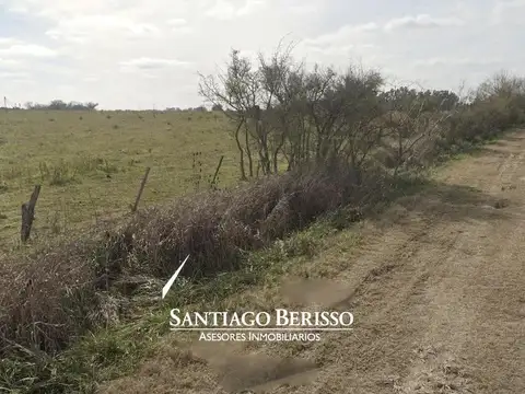 Exaltación de la Cruz