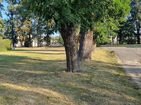 Terreno en Venta de 500,0 m2