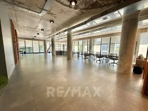 Diogenes Taborda 100