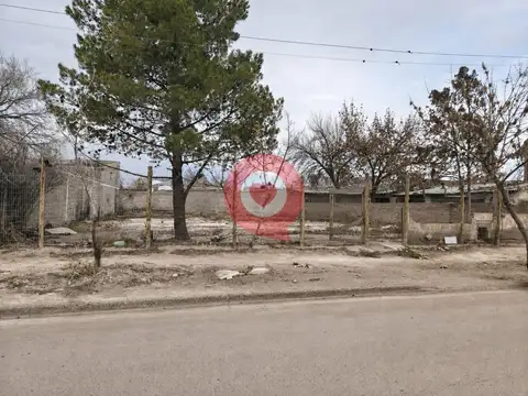 Terreno en Alquiler 34  mts Fondo