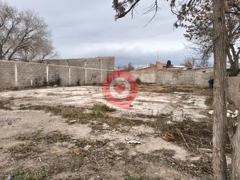 Terreno en Alquiler 20  mts Frente