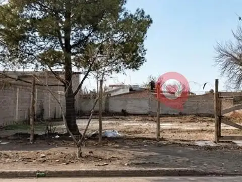 Terreno en Cipolletti
