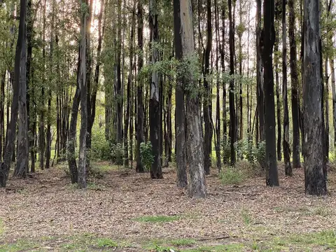 Terreno en Venta en Oliveros, USD 25.000