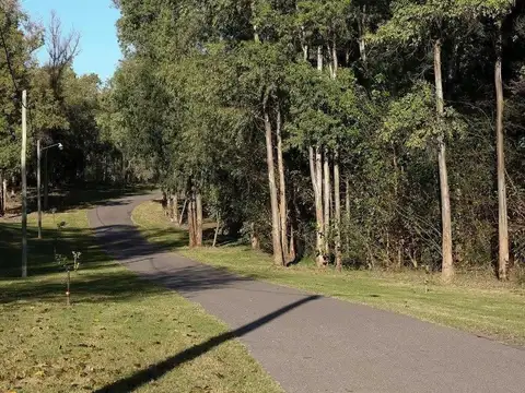 Campo Timbo, Iriondo, Santa Fe