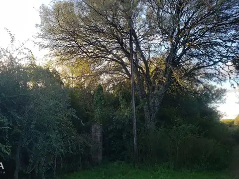 Terreno de 1791 m2 a pocas cuadras del centro de Carpinteria