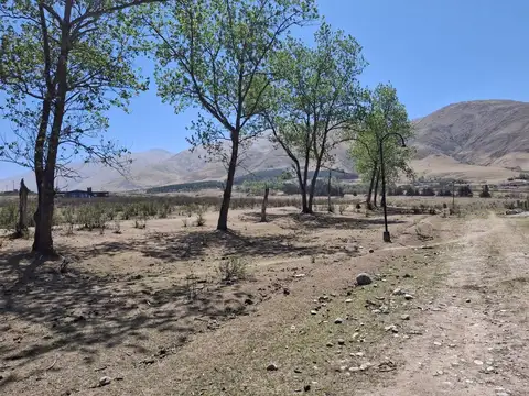 Terreno en Venta de 3050,0 m2