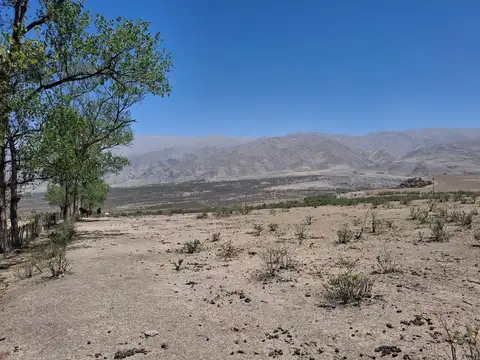 La Donosa Club De Campo