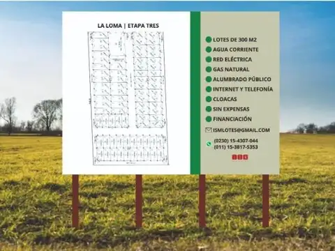 Terreno en Venta 25  mts Fondo