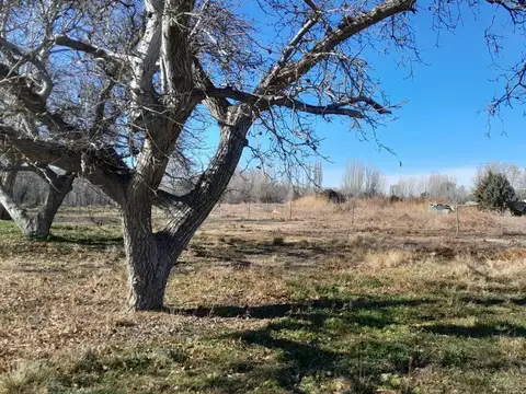 Terreno en Venta de 1450,0 m2