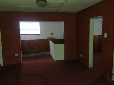 Dr. Ricardo Levene 100