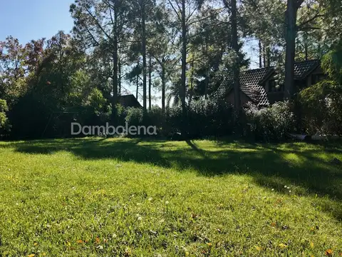 Terreno Lote  en Venta, San Diego, Moreno