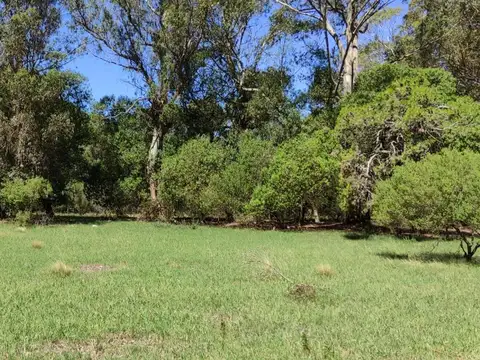 Terreno en Venta de 2977,0 m2