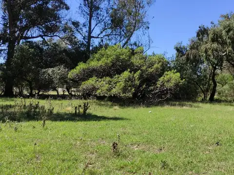 Terreno en Venta de 2977,0 m2