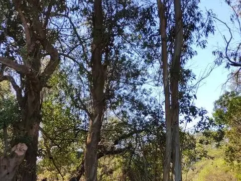 Lomas de San Patricio