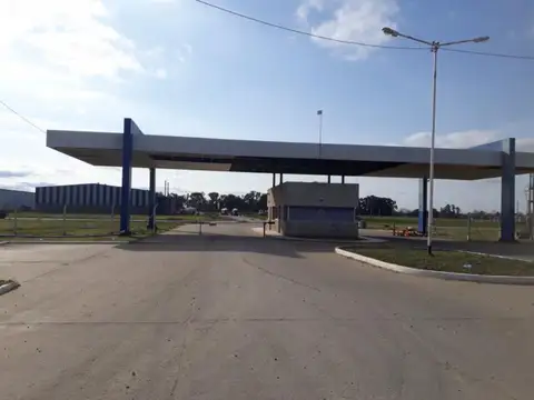 Galpón - Guernica