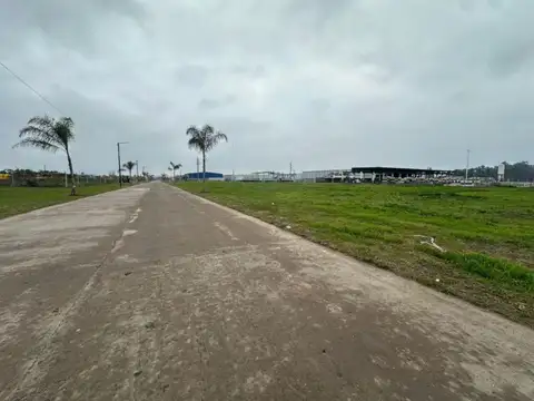 Galpon en Alquiler A Estrenar