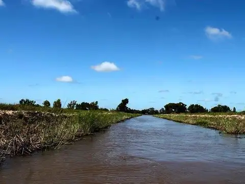 Terreno en Venta 50  mts Frente