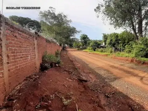 Martin Miguel De Guemes Calle