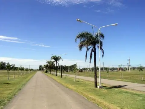 Punta Chacra Roldan - La Yerra (Entre Av. Martin Fierro y Av. Los Nogales) L283 M00