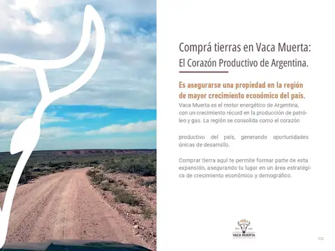 VENTA DE TERRENO EN VACA MUERTA