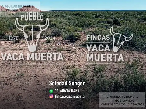 Terreno en Venta 10  mts Frente