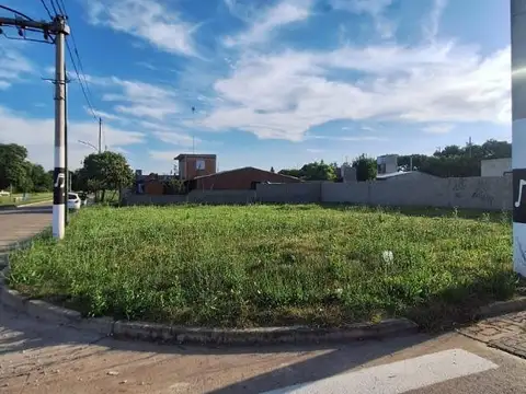 Antártida Argentina Y Gerty Cori