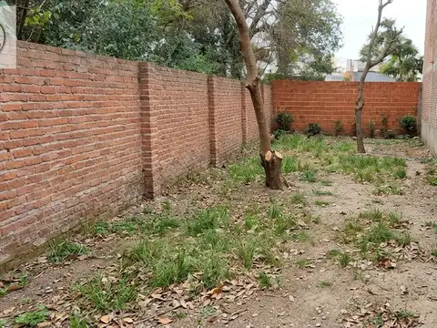 Terreno en Venta de 316,0 m2