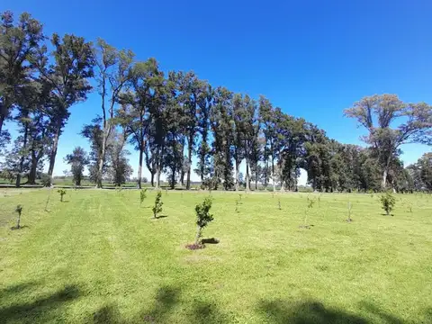 Terreno en venta - 1123mts2 - Los Tres Pinos, General Rodríguez