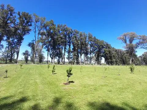Terreno en Venta en Los Tres Pinos, Countries y Barrios Cerrados en General Rodriguez