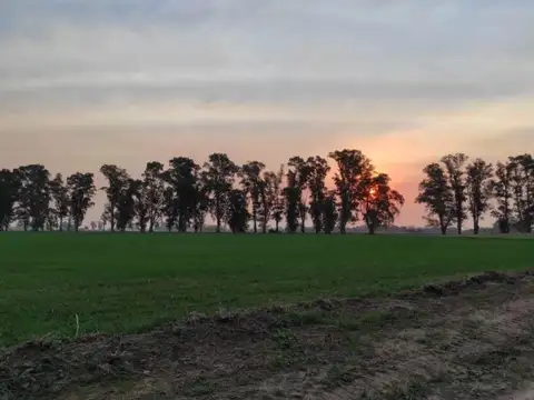 Villa de Campo - Los Tres Pinos